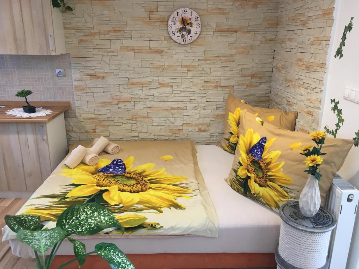 Apartman Slunecnice S Terasou Ceske Budejovice Dış mekan fotoğraf